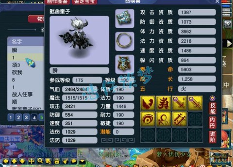 神武龟速孩子怎么加点