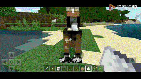 我的世界怎么刷极品马