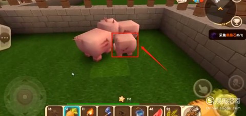 迷你世界里的猪吃什么