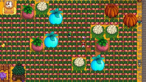 星露谷物语什么水果